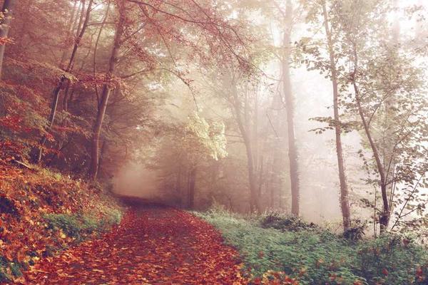 贝勒漫画阅读界面展示